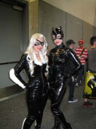 Black Cat (left) from Marvel & Catwoman (right) from DC.
